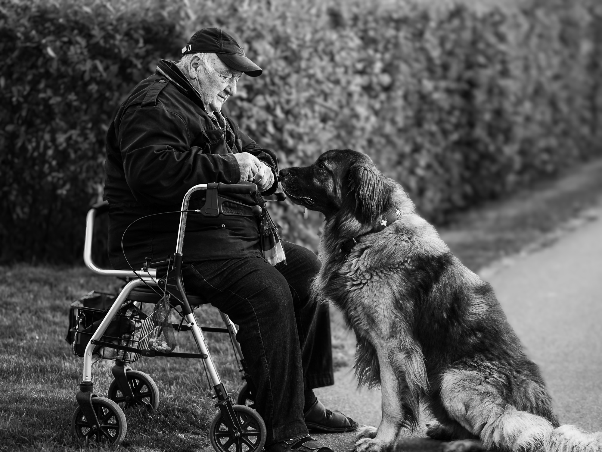 Mensch und Hund