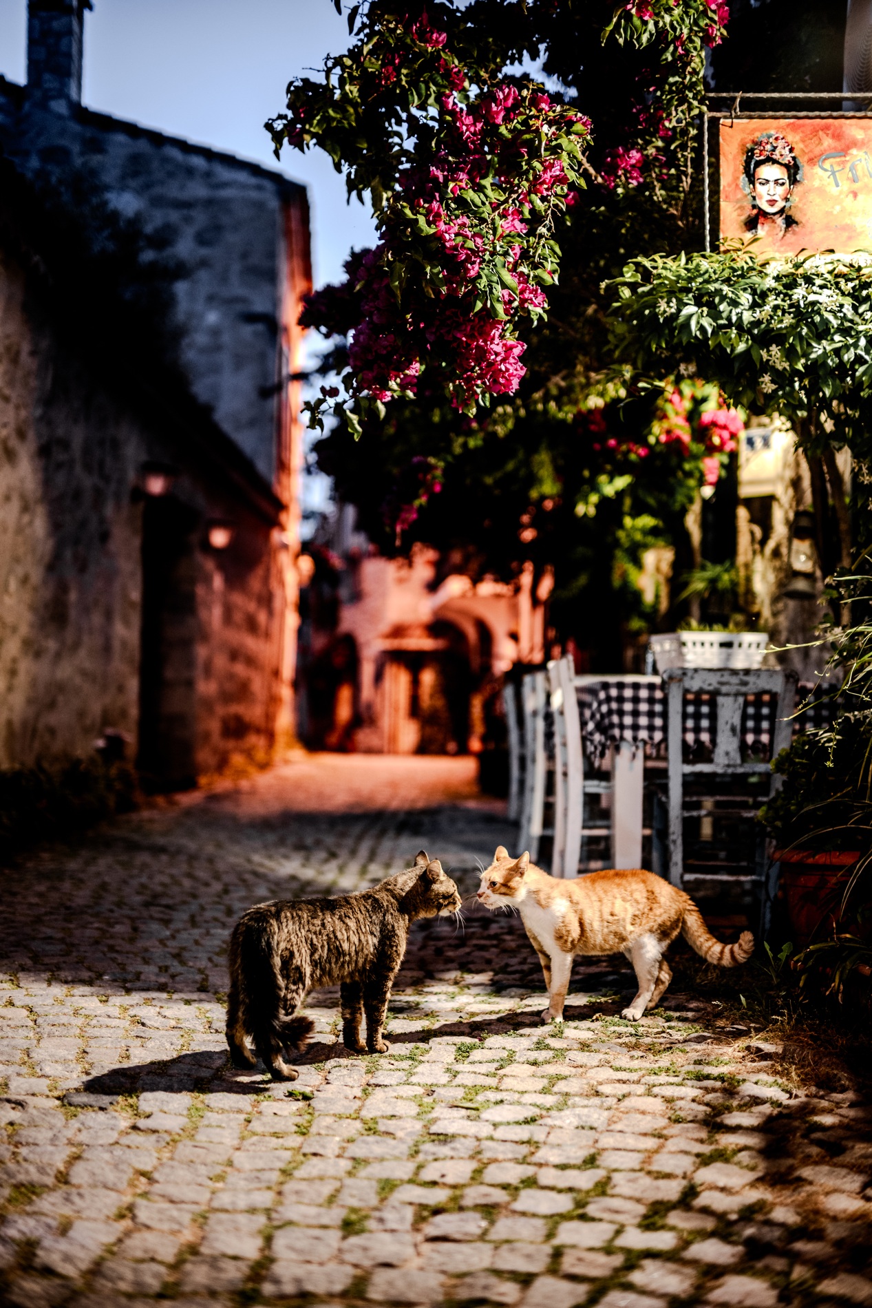 Begegnung in der Gasse